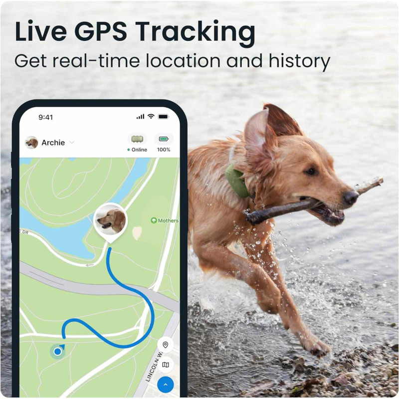 GPS трекер для собак Tractive LTE Green 22 кг+ - 2