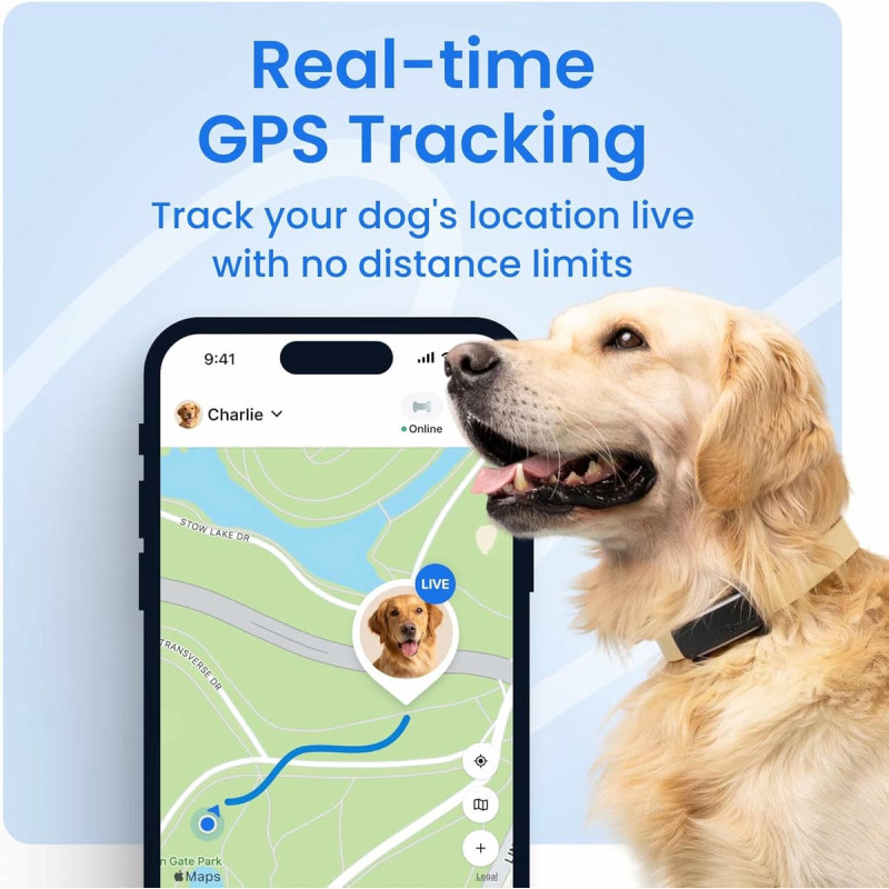 GPS ошейник для собак Tractive Smart Dog Mint - 1
