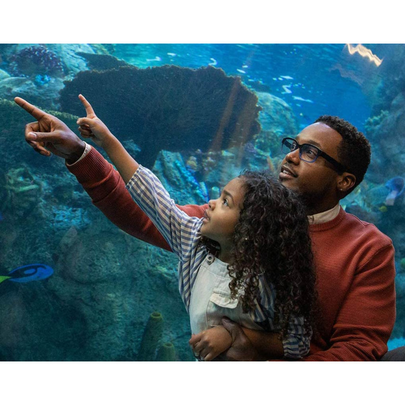 Умные очки Echo Frames с Alexa Classic Black - 4