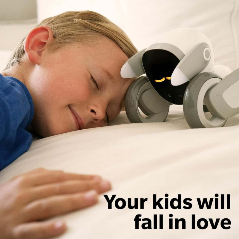 Loona petbot домашний робот любимец - 5