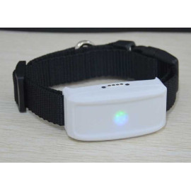 GPS ошейник для котят TK 911 mini