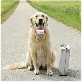 GPS-ошейник для собак TKSTAR TK909