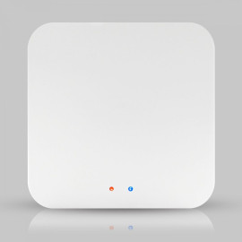 Беспроводной Zigbee контроллер Tuya