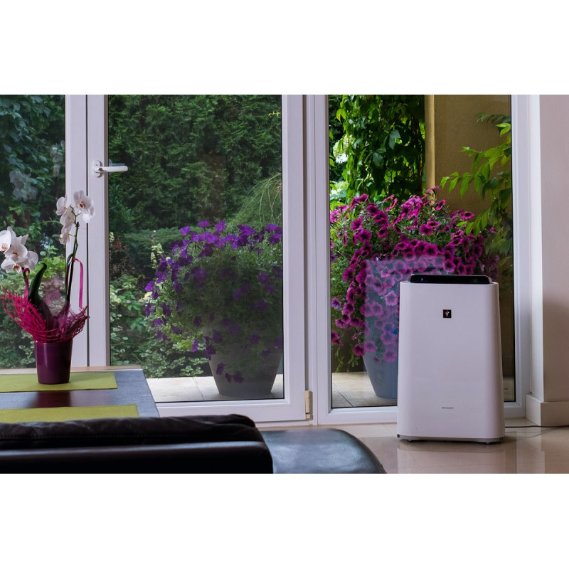 Очищувач повітря Sharp KC-D50EUW - для здорового дихання. - 5