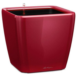 Умный вазон Lechuza Quadro LS 21 Красный
